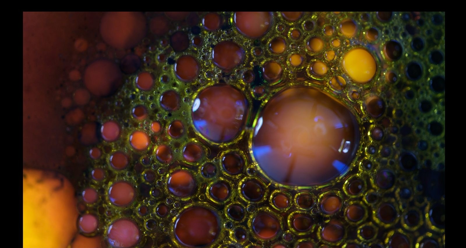Bioluminescent Garden, from the Chromatic Bubble Fields collection