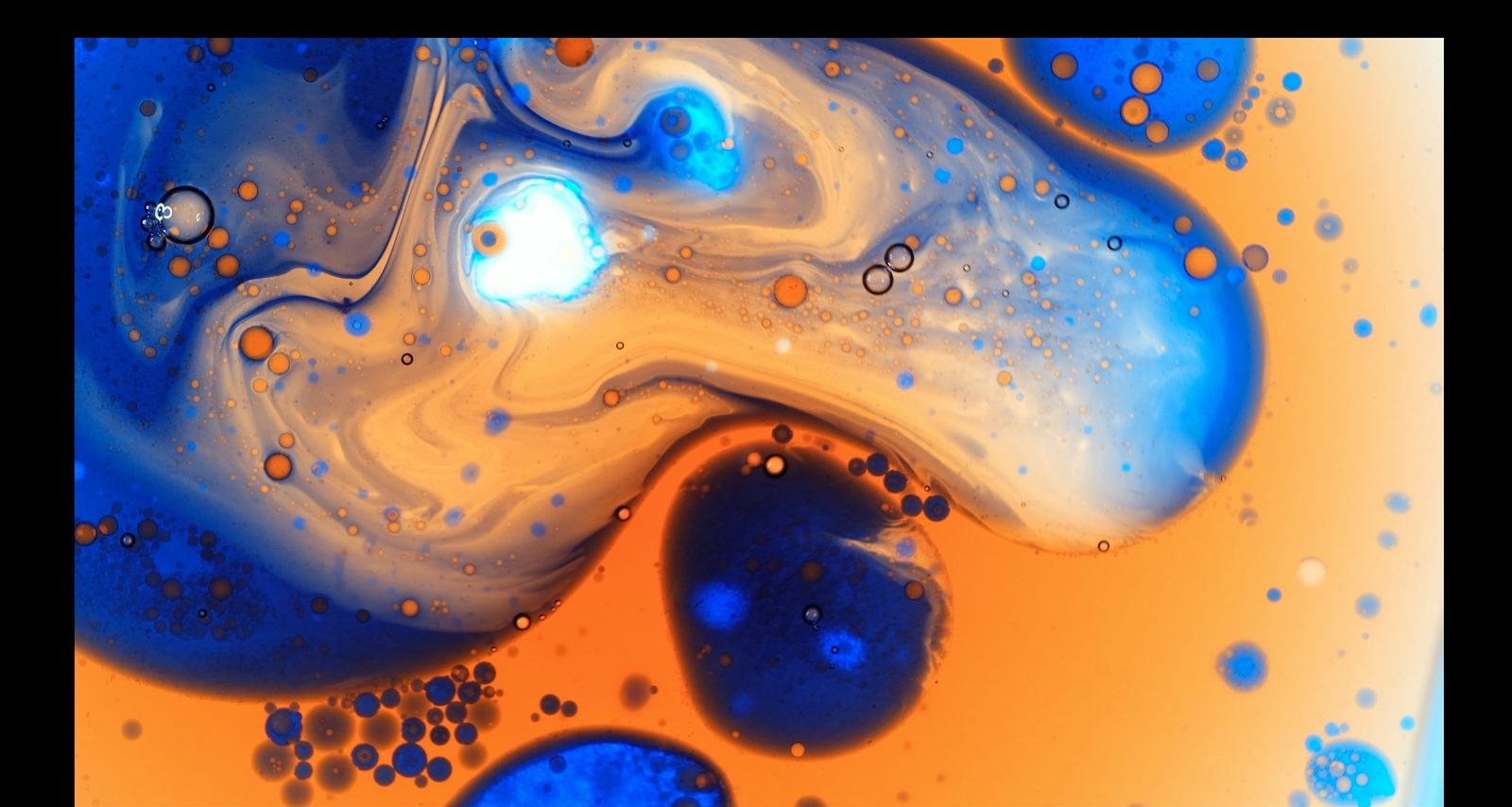 Comet Bloom, from the Nebulora collection