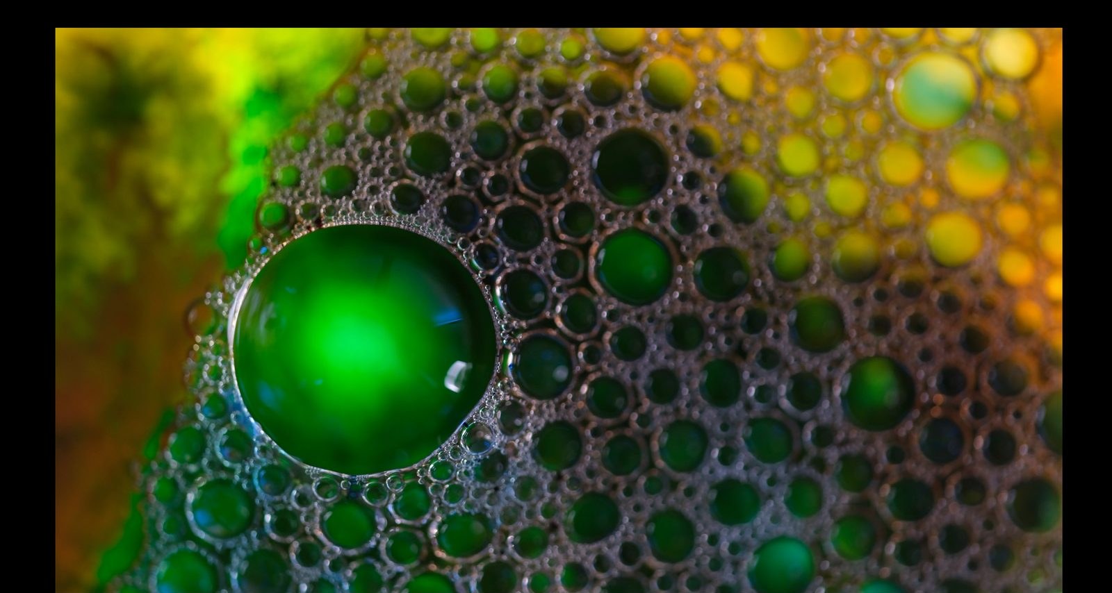 Emerald Colony, from the Chromatic Bubble Fields collection