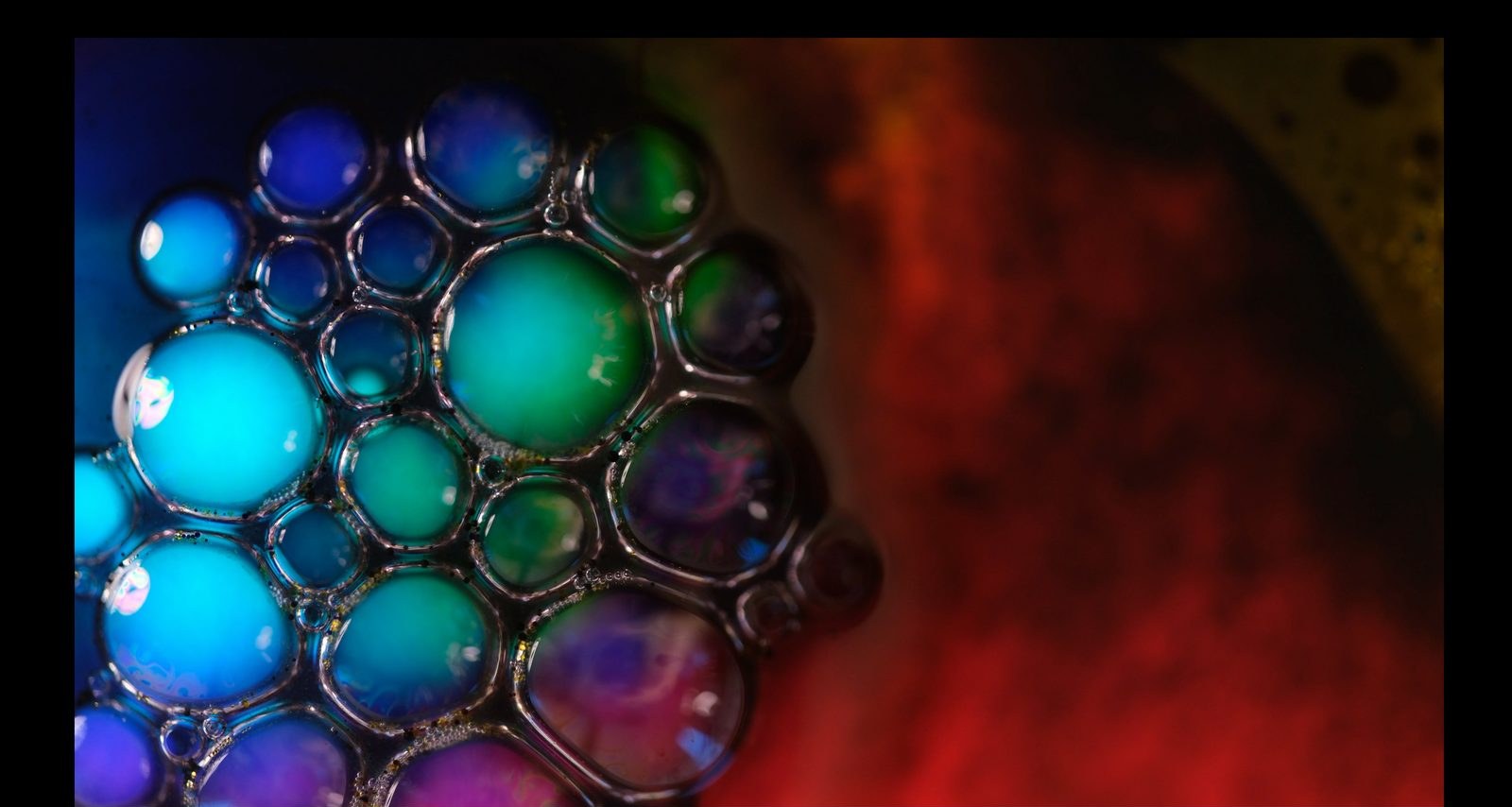 Neon Cell Cluster, from the Chromatic Bubble Fields collection